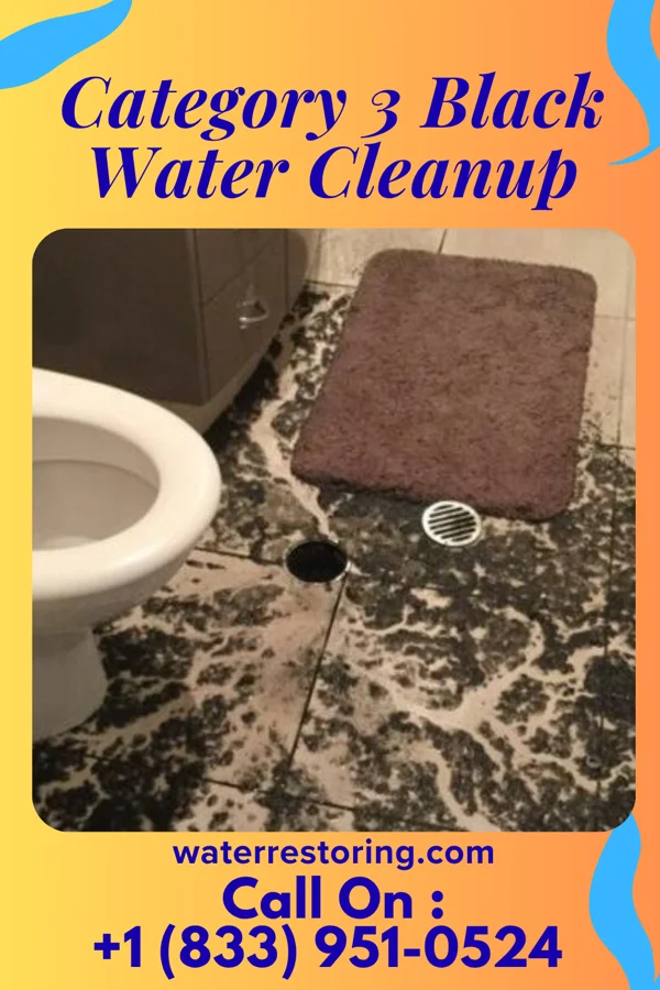 Category 3 Black Water Cleanup in Fries, VA