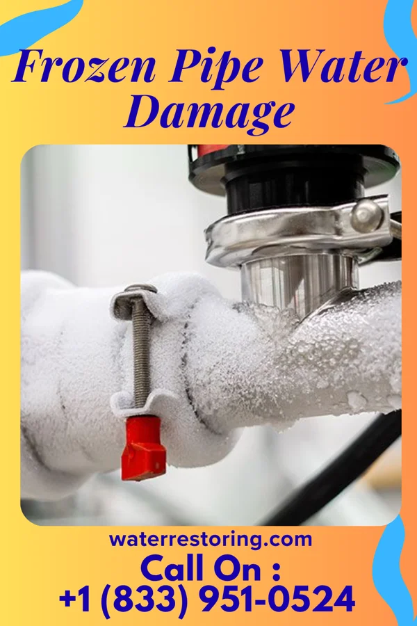 Frozen Pipe Water Damage in Fries, VA