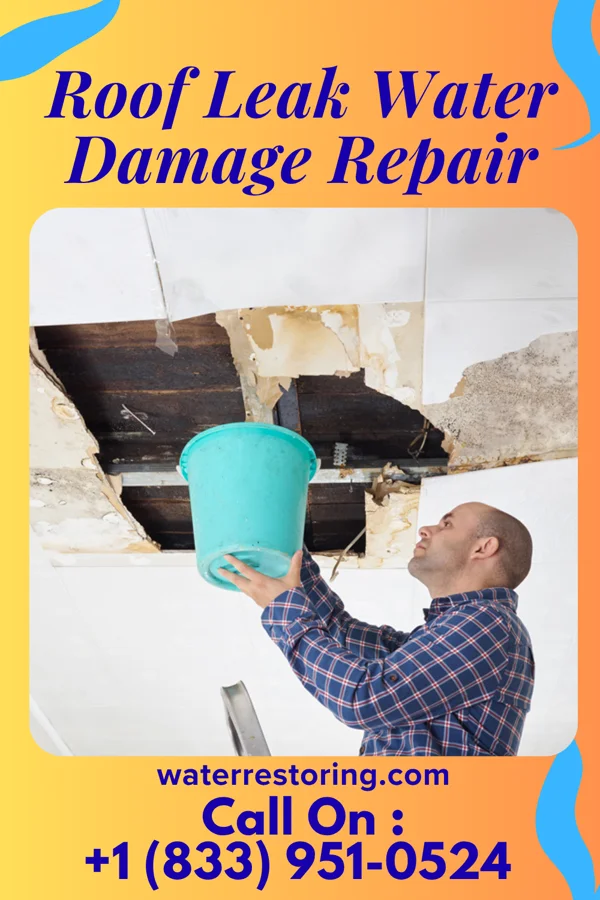 Roof Leak Water Damage Repair in Fries, VA