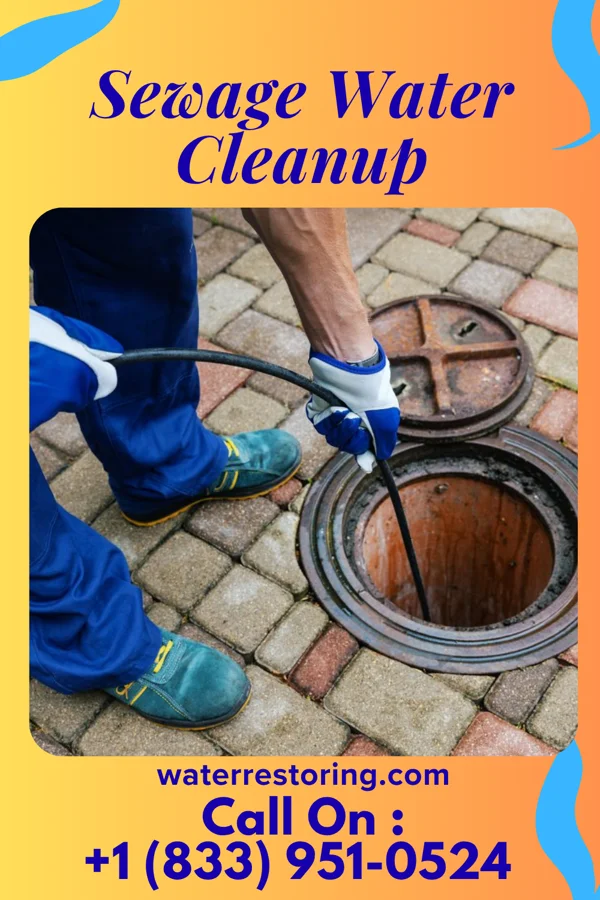 Sewage Water Cleanup in Fries, VA